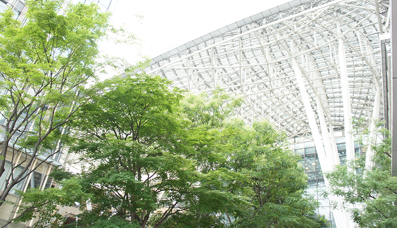 g9手游折扣平台 華麗で獰猛な美しき将棋の女神たちが、熱き思いを胸に秘め、冷徹な戦いを繰り広げる